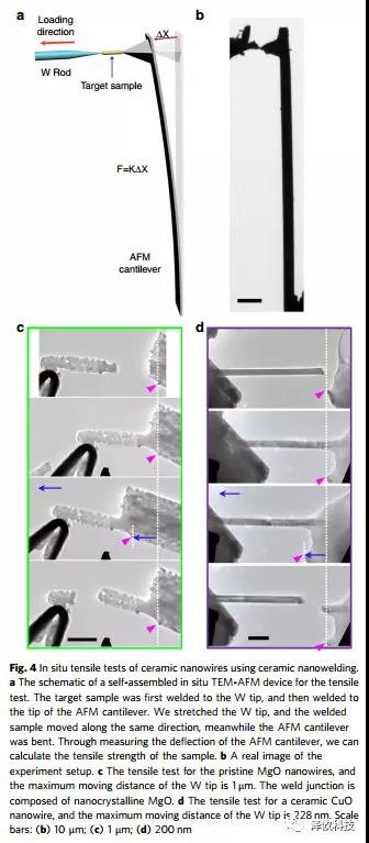 原位TEM-STM系統(tǒng)應(yīng)用 原位TEM-STM系統(tǒng)應(yīng)用