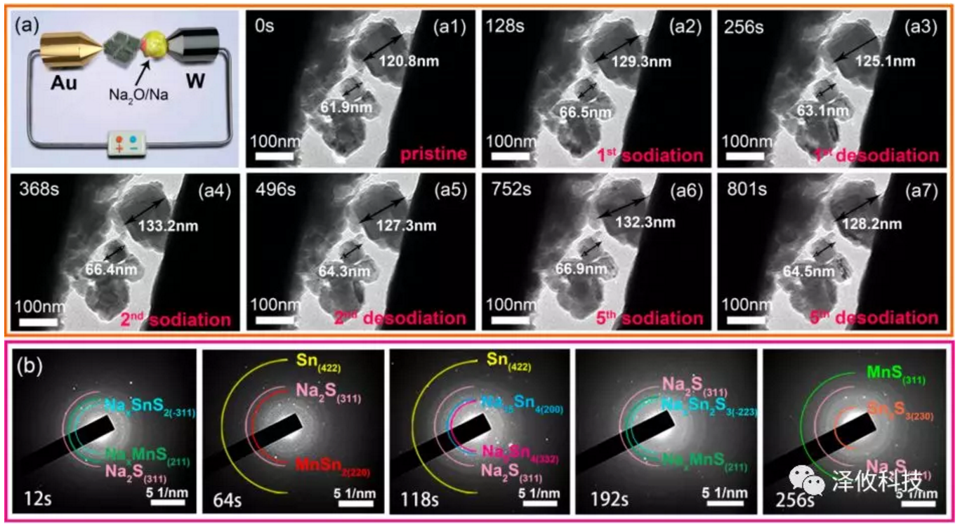原位電學(xué)樣品桿觀察 原位電學(xué)樣品桿觀察