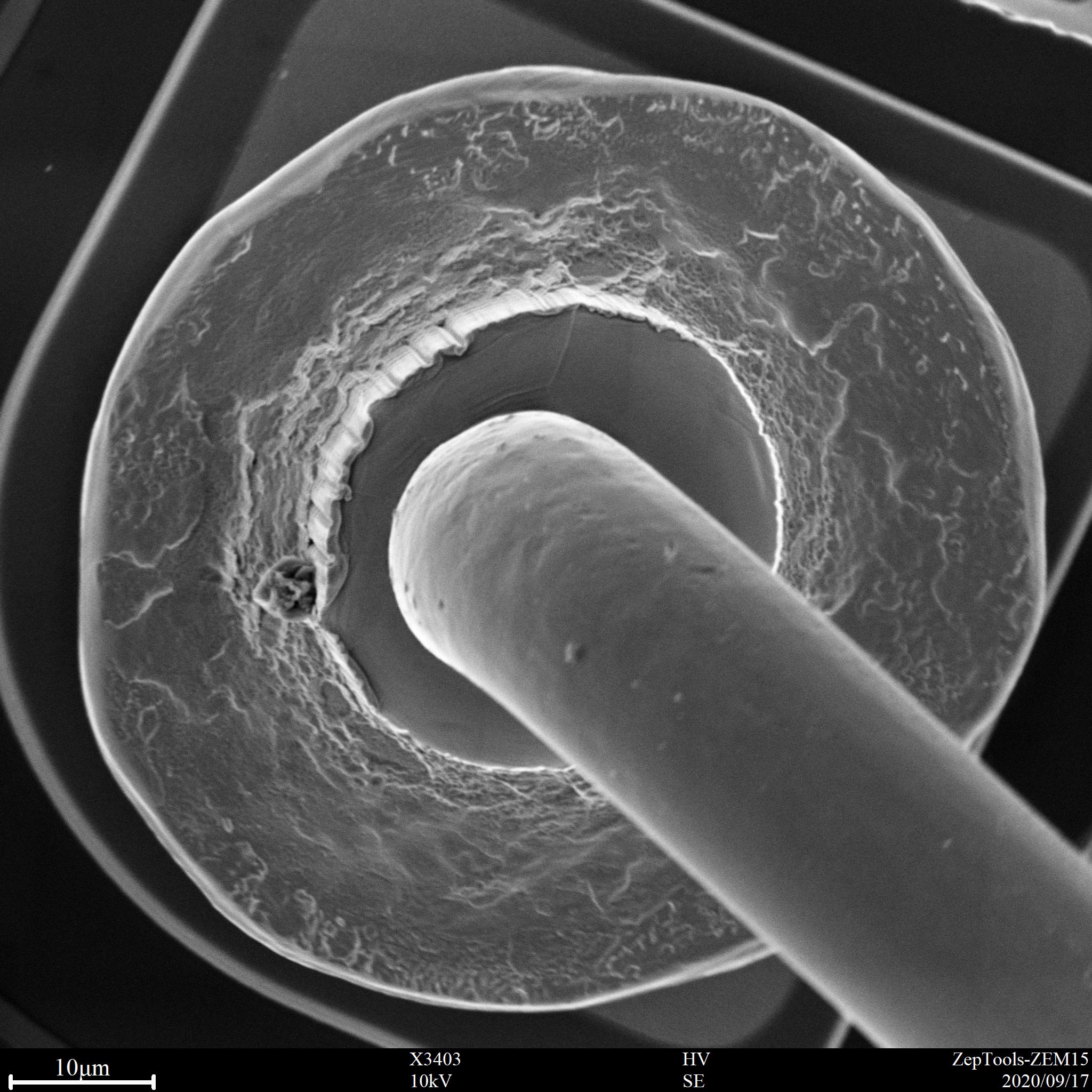 臺式掃描電鏡下半導(dǎo)體焊點(diǎn)(會議現(xiàn)場拍攝) 臺式掃描電鏡下半導(dǎo)體焊點(diǎn)(會議現(xiàn)場拍攝)