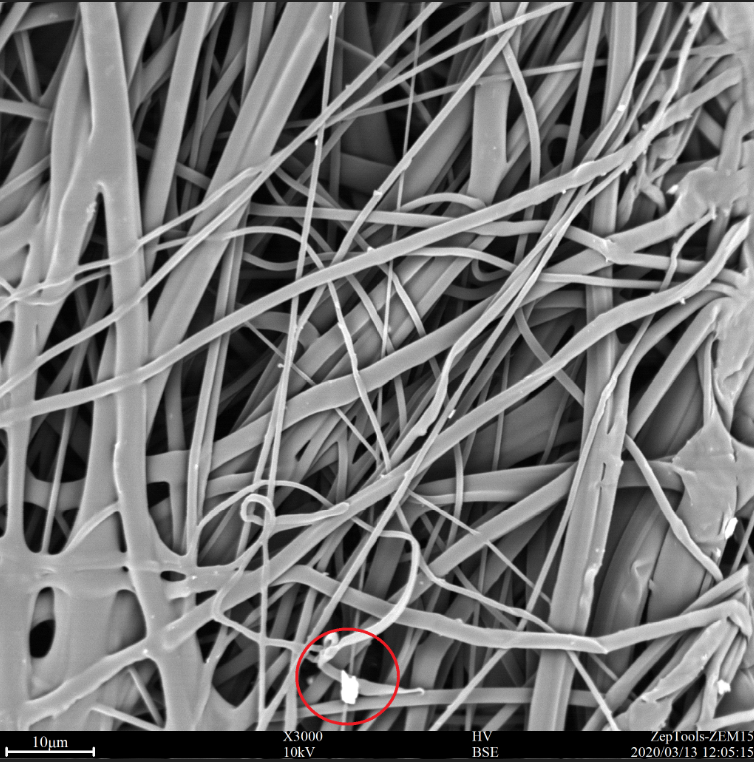 掃描電鏡下的醫(yī)用外科口罩熔噴布層圖片 掃描電鏡下的醫(yī)用外科口罩熔噴布層圖片