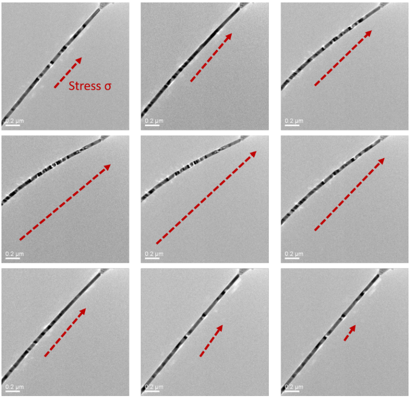 透射電鏡原位力電一體樣品桿觀(guān)察 透射電鏡原位力電一體樣品桿觀(guān)察