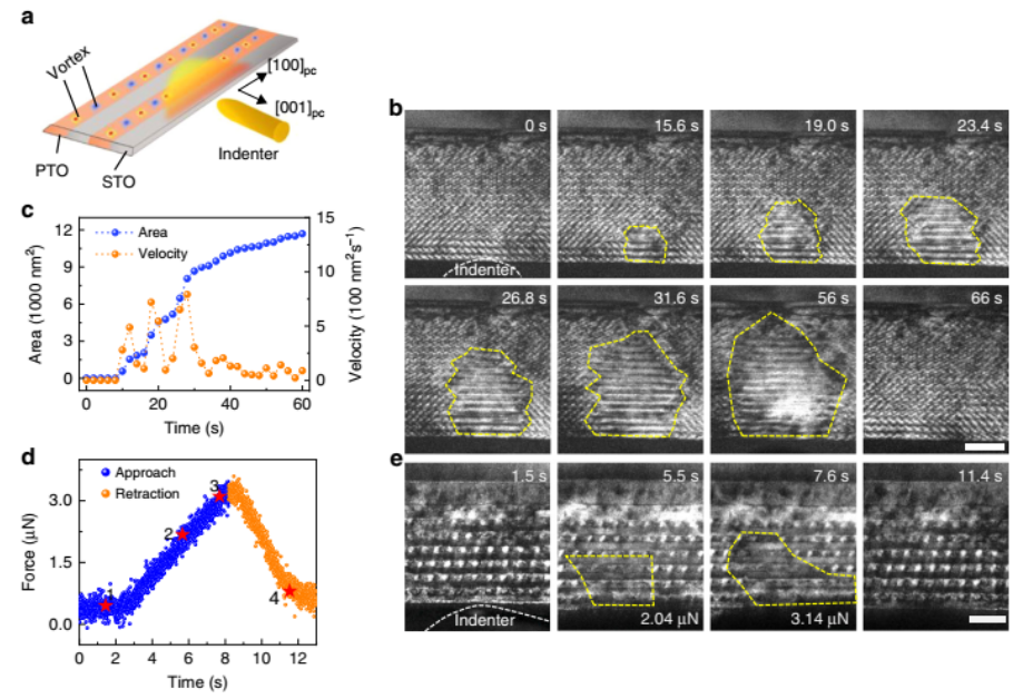 Nature Commun.:物理所揭示原子分辨下的鐵電渦旋疇的原位力學(xué)轉(zhuǎn)變過程(圖4) 原位TEM研究實驗方法圖4:渦旋疇在外力作用下的轉(zhuǎn)變