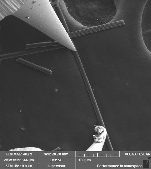 SEM納米探針臺(圖4) SEM納米探針臺應(yīng)用——對一維材料的電學(xué)測量3.jpg