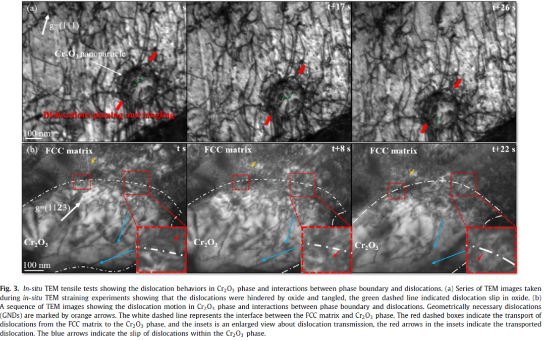 圖3 原位拉伸中的結(jié)構(gòu)表征.png 圖3 原位拉伸中的結(jié)構(gòu)表征.png