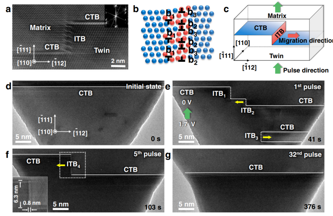 Au納米晶中脈沖導(dǎo)致的非共格孿晶界遷移 Au納米晶中脈沖導(dǎo)致的非共格孿晶界遷移