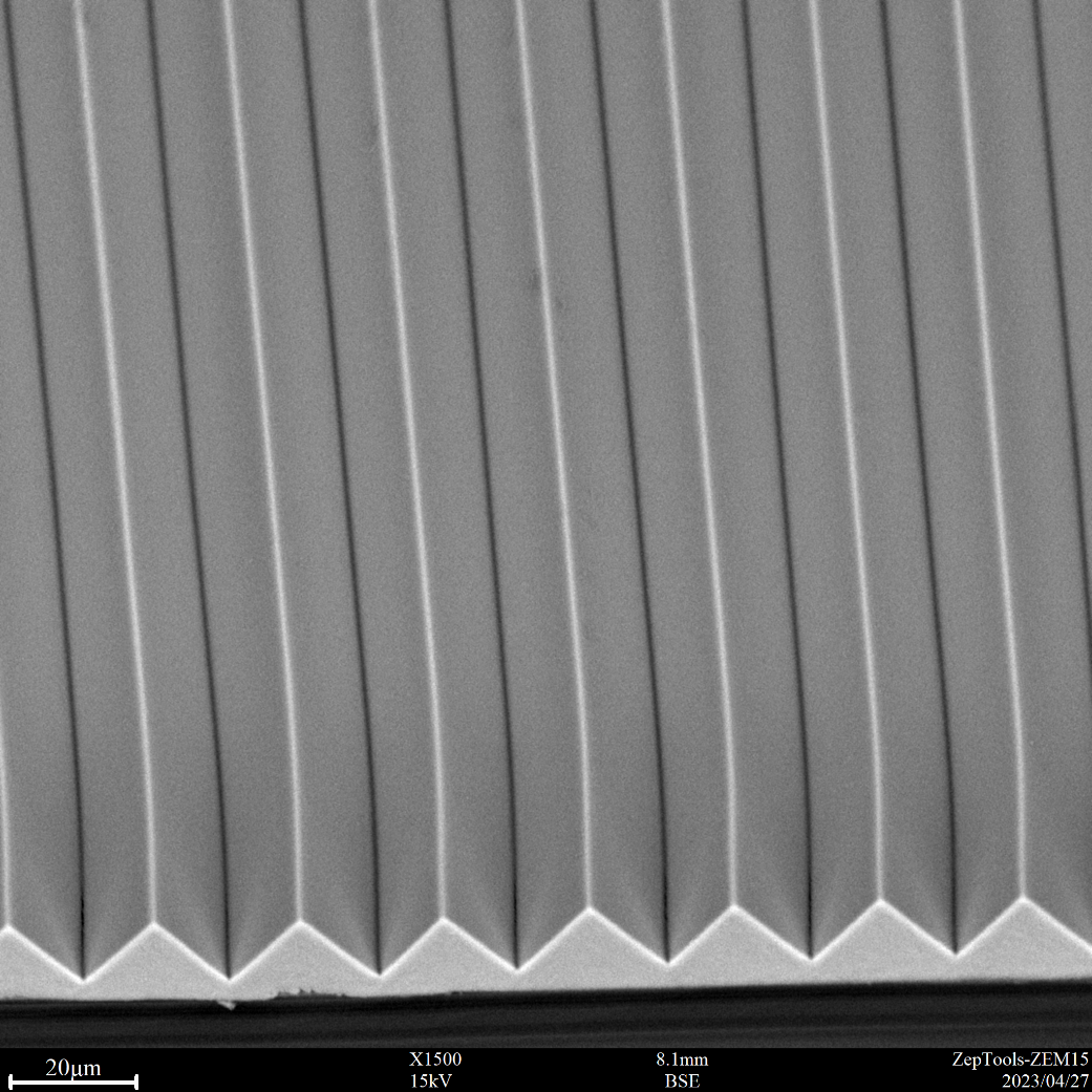 3M增量膜表面微觀結(jié)構(gòu)的SEM觀察， BSE圖像