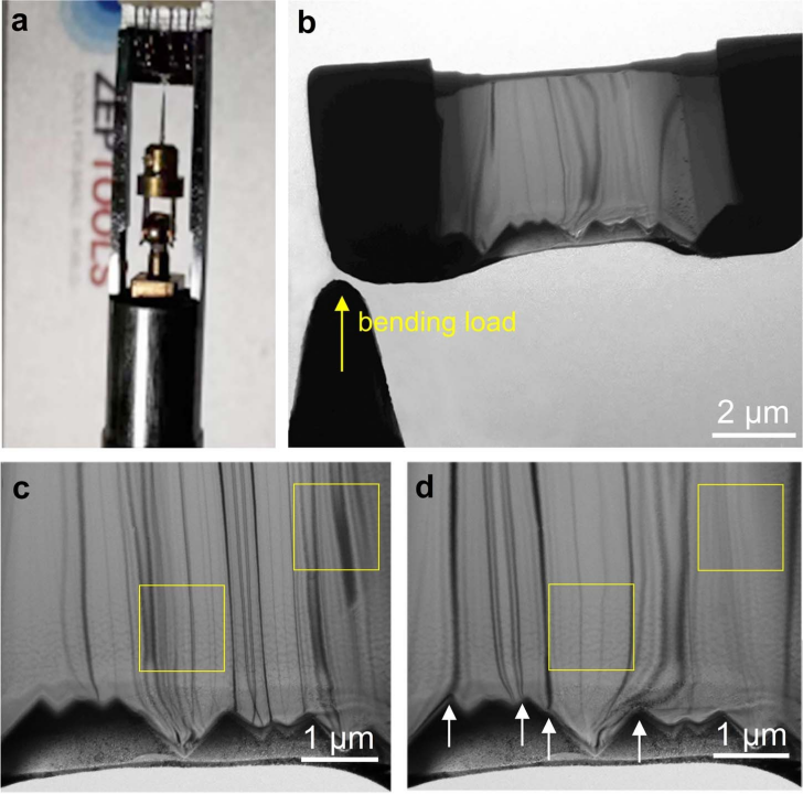 支撐數(shù)據(jù)圖 支撐數(shù)據(jù)圖
