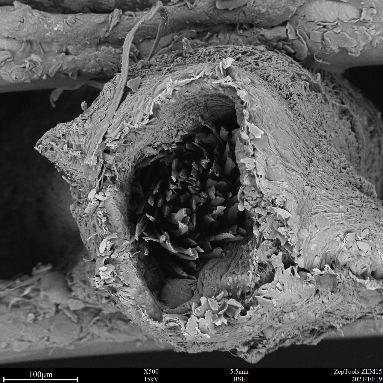 管狀納米材料 管狀納米材料