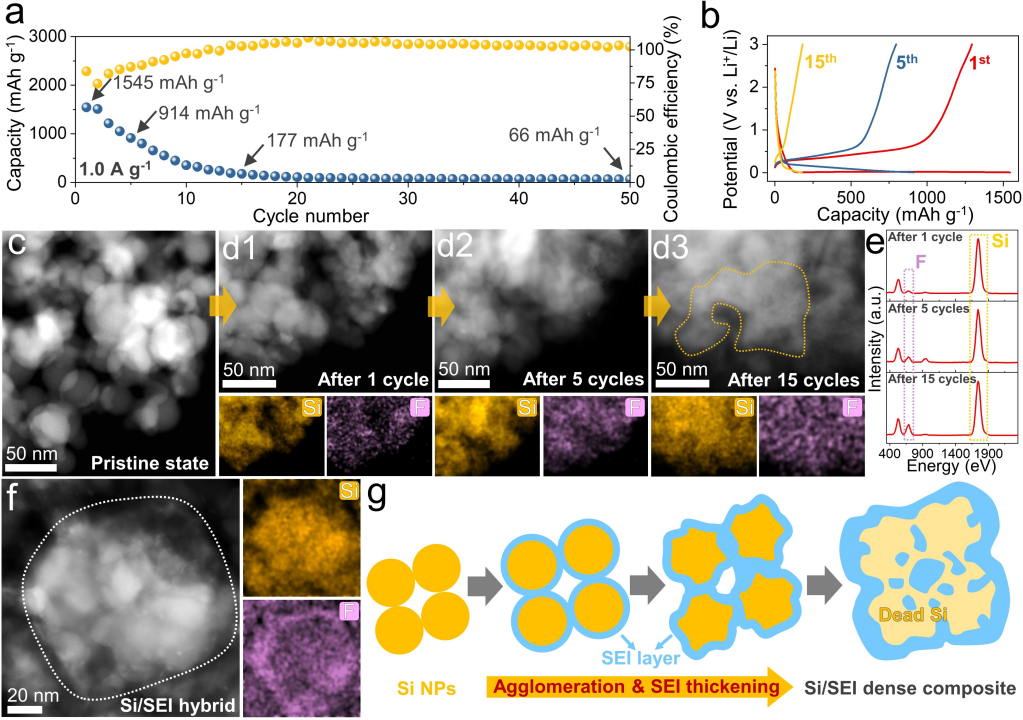 Si NPs的超快容量衰減和結構劣化機制解析 Si NPs的超快容量衰減和結構劣化機制解析