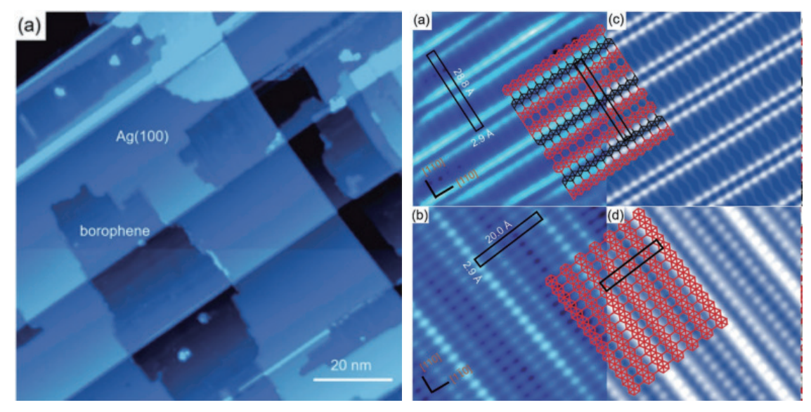 銀上的單層硼烯。