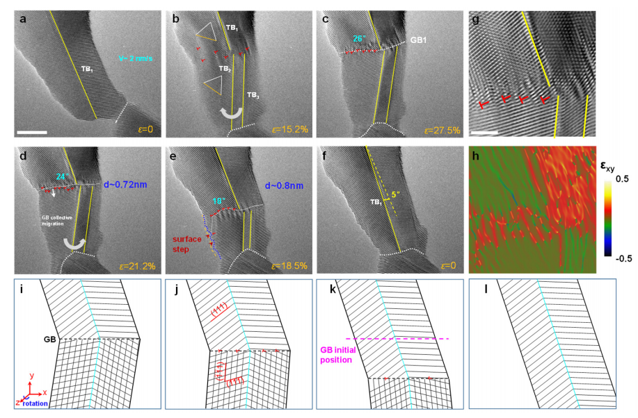 澤攸TEM原位樣品桿 澤攸TEM原位樣品桿