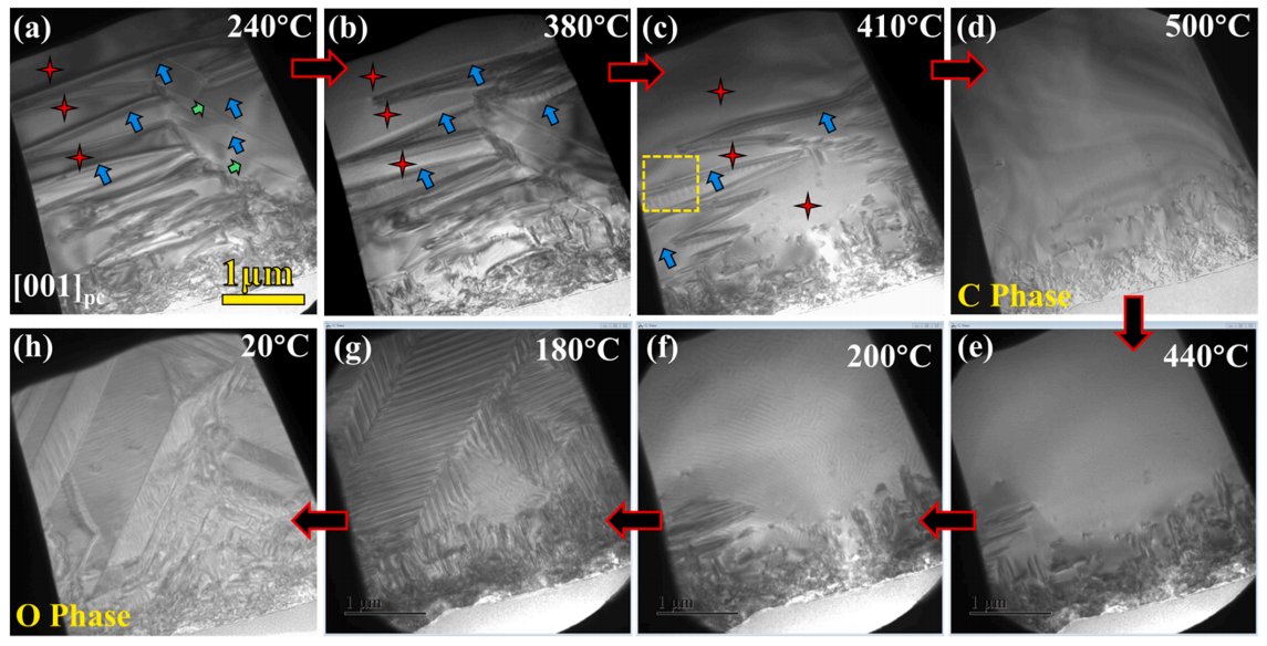 四方相迷宮狀對比度的演變 四方相迷宮狀對比度的演變