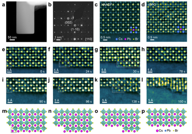 CsPbBr3表面逐層降解路徑的原子級(jí)直接觀察 CsPbBr3表面逐層降解路徑的原子級(jí)直接觀察