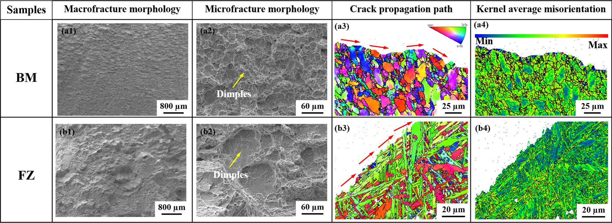 BM與FZ的斷口形貌及裂紋擴(kuò)展路徑分析 BM與FZ的斷口形貌及裂紋擴(kuò)展路徑分析