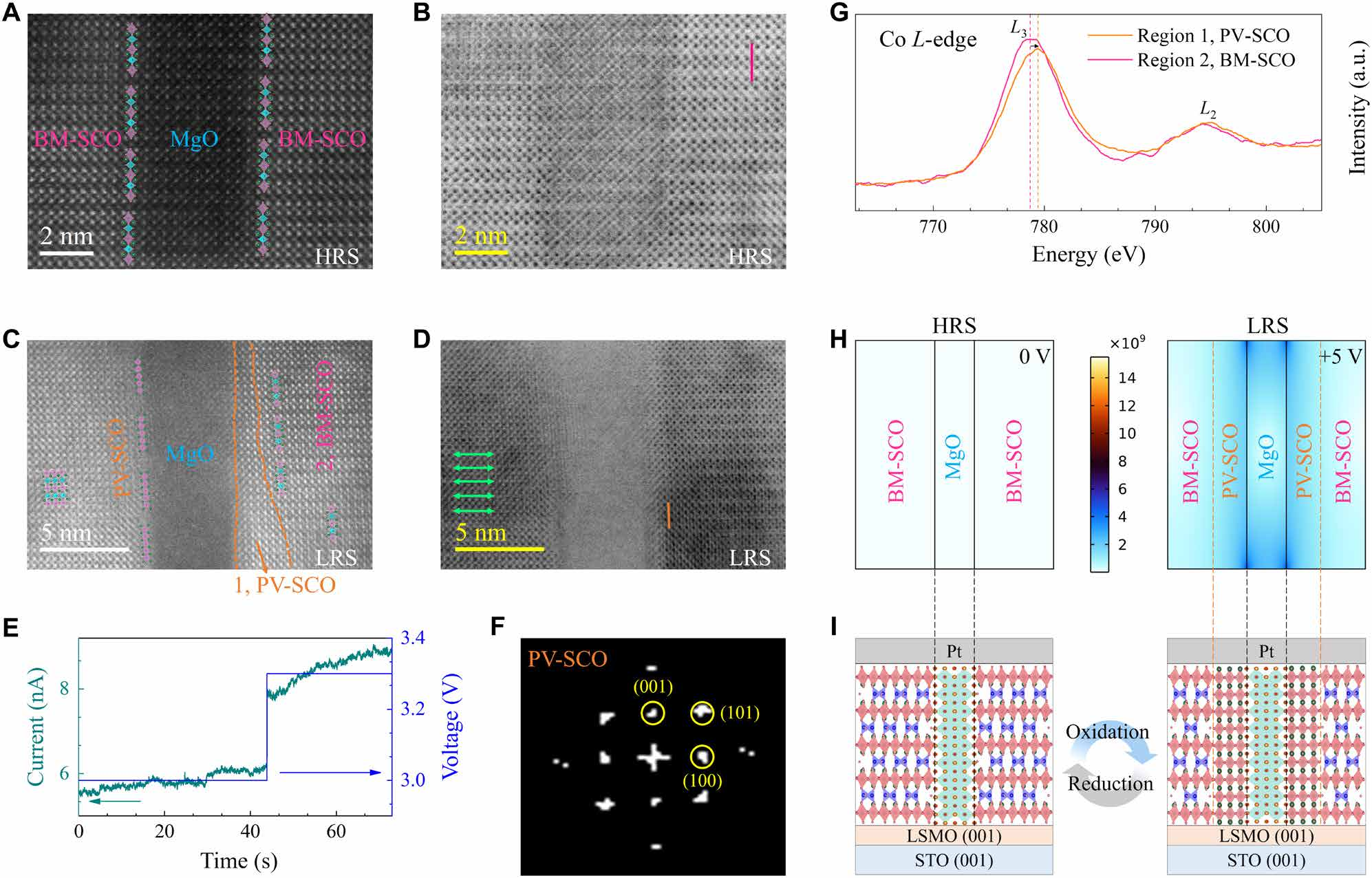 澤攸科技原位TEM 澤攸科技原位TEM