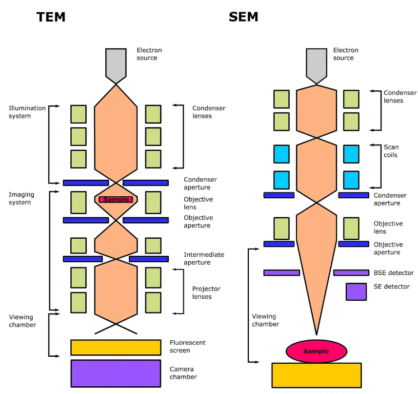 電子顯微鏡技術(shù) 電子顯微鏡技術(shù)