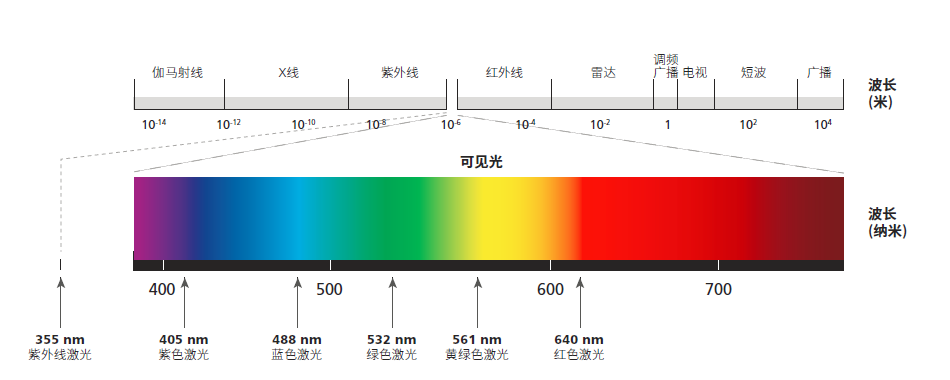 電子顯微鏡技術(shù) 電子顯微鏡技術(shù)