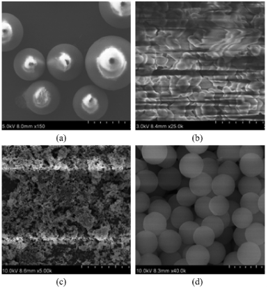 澤攸科技掃描電鏡