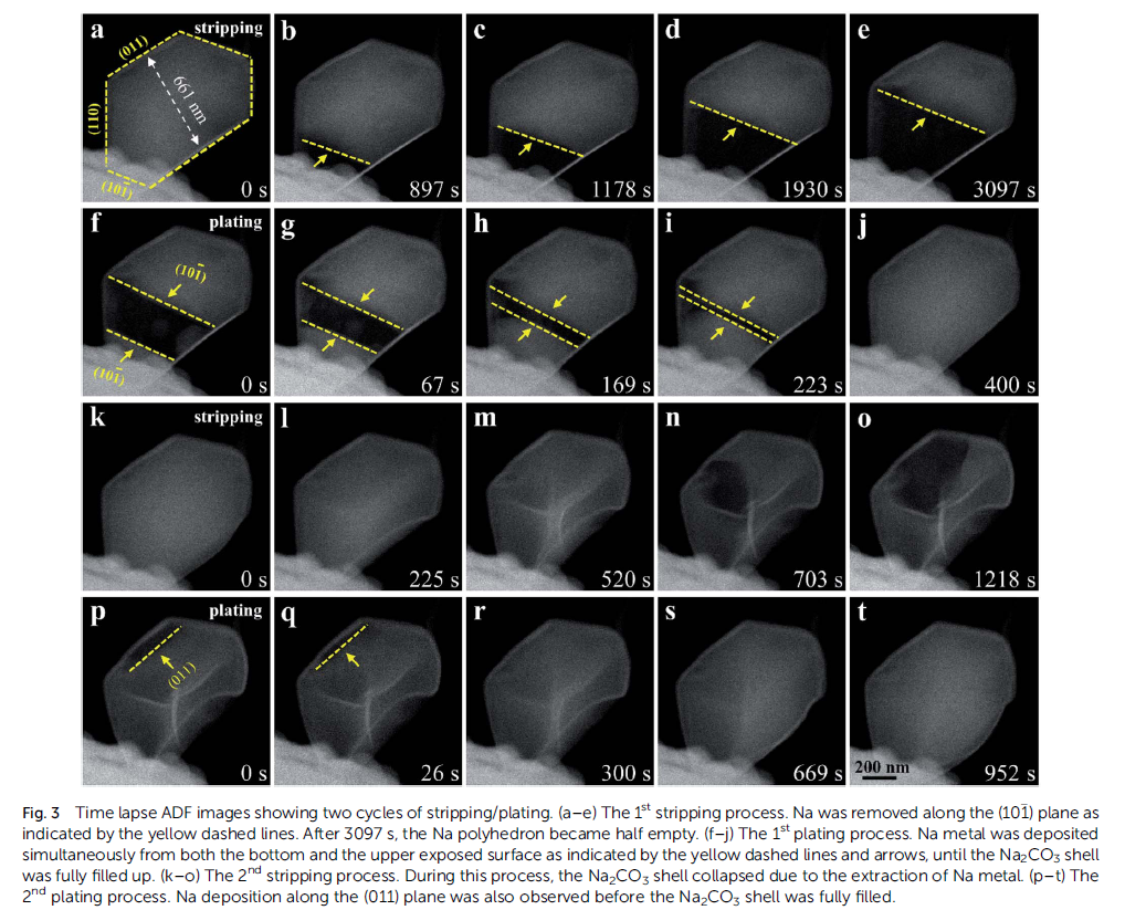 燕山大學(xué):鈉金屬沉積/剝離動(dòng)力學(xué)過程的原位觀察(圖4) 圖 原位充放電4.png